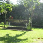 Rainforest Zoo