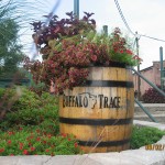 IMG_0053 buffalo trace